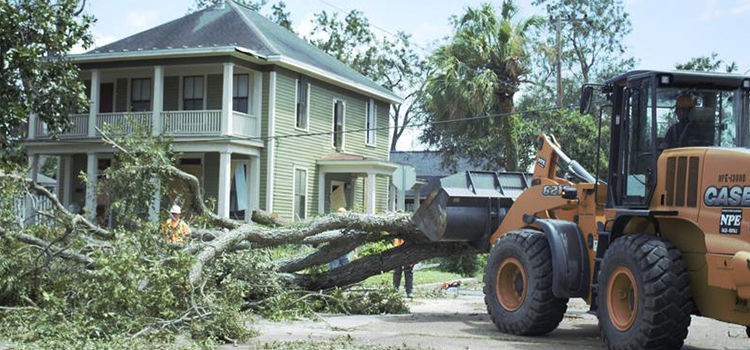 Victoria Starts Harvey Recovery While Guadalupe River Rises